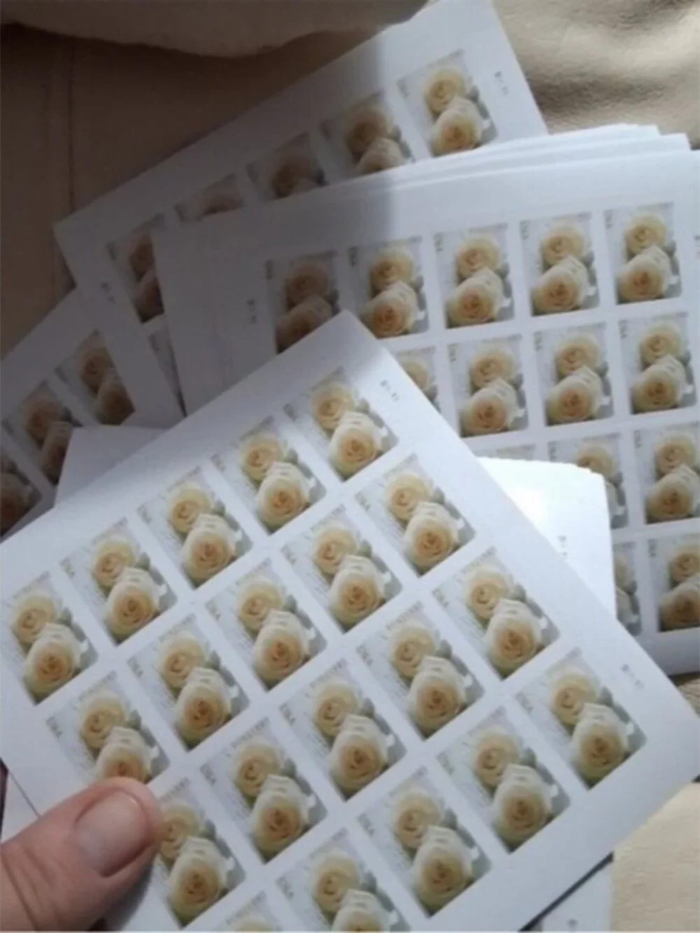 200 lifetime white roses unused wedding stamps